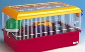 Une jolie cage standard