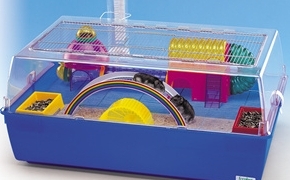 Une cage avec un arc-en-ciel