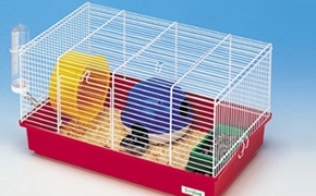 Une jolie cage standad