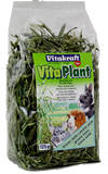 Vita Plant