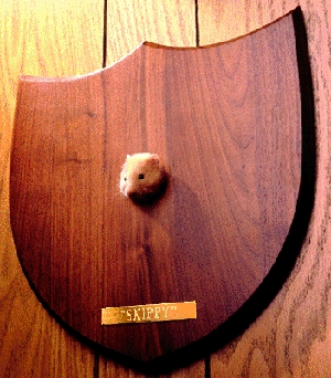 Une mani�re de garder un bon souvenir de son chouchou...