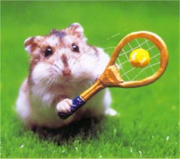 Tennis