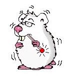 La CML atteint rarement une port�e de hamsters dor�s