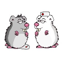 Evite de laisser tomber ton hamster
