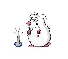 Pour �viter toute infection, ne laisse pas d'objets coupants ou pointus