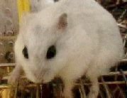 Elle aime s'�chapper de la cage