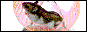 Une animation marrante