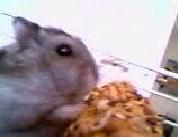 Quel gourmand !!!