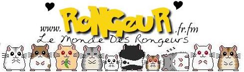 Le monde des rongeurs