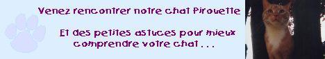 Le site de Pirouette le chat