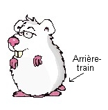 L'arri�re-train