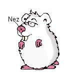 Le nez