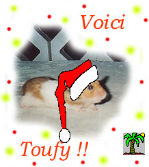 Hamster p�re No�l
