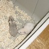 Cr�mage et Bouboule