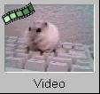 Ruth sur le clavier