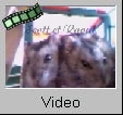 Scott et Raoul